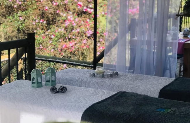 ecohotel zona 7 - Photo 74