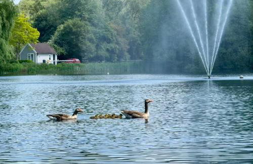 Luxury Kingfisher Lodge, Isis Lake, within the Cotswold Waterpark - Foto 57