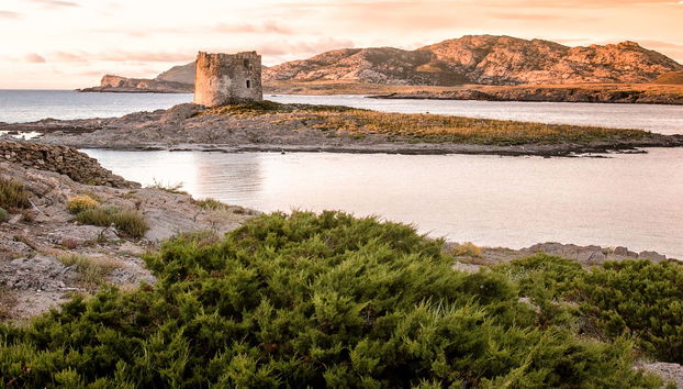 Gulf of Asinara Sunset Catamaran Trip - Foto 4