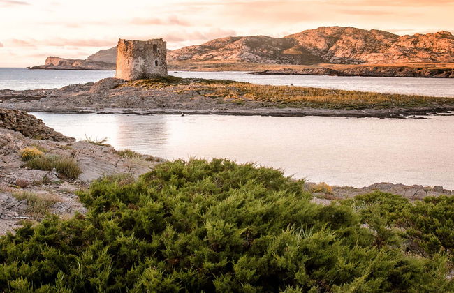 Gulf of Asinara Sunset Catamaran Trip - Photo 6