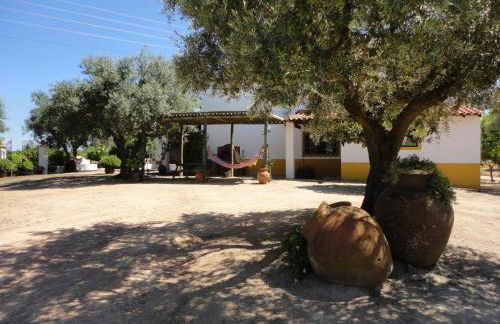 Monte dos Aroeirais - Foto 47