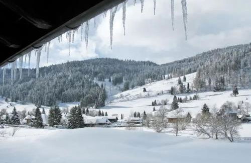 Apartment Schwinbachblick mit 2 Balkonen - Foto 18