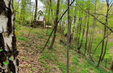 Leśny Zakątek - Foto 21