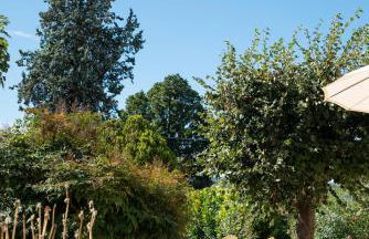 Tenuta Dei Vicini - Luxury Apartments - Foto 41