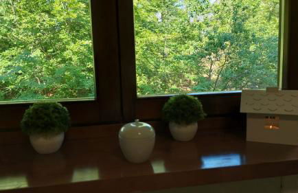 Appartamento a Sella Nevea per sci e montagna con ampio balcone - Foto 21