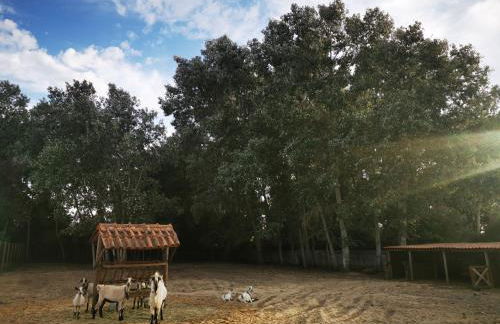 Quinta do Louredo - Évora - Foto 77