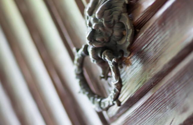 Ferienhaus Oppach - Foto 60