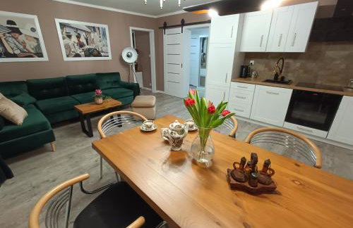 Apartamenty Holender House Choczewo 6 plaż w zasięgu - Foto 55