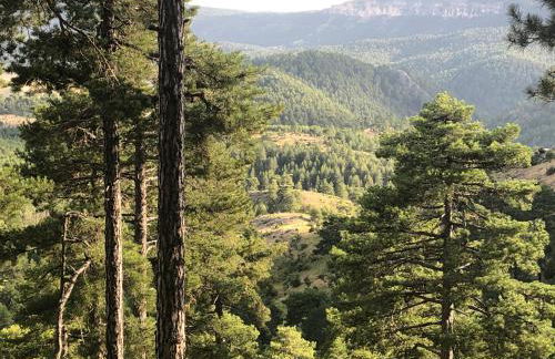 Casa Rural Chincha - Foto 34