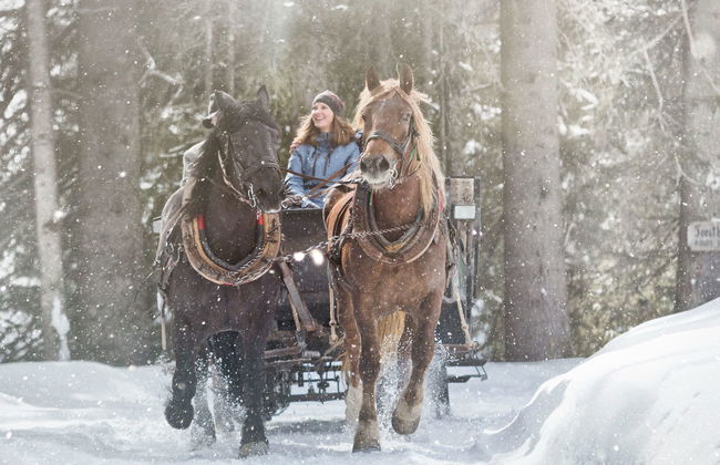 INT4 - 2 Zimmer max. 5 Personen A3 - Foto 8