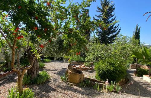 Beautiful country house near Ronda - Foto 19