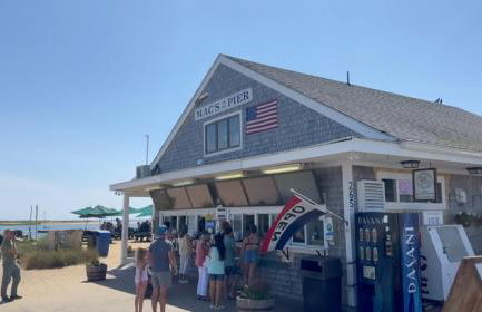 Tranquil Woodland Escape in Wellfleet - Foto 39