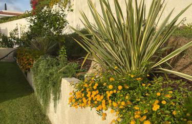 Villa Sofia *Luxury experience in Calabria - Foto 54