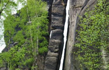 Urlaub im 200 Jahre alten Fachwerkhaus - Foto 59