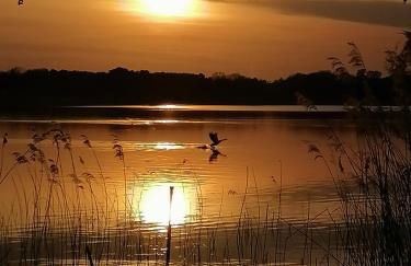 Bungalow am Ferchesarer See - Foto 16