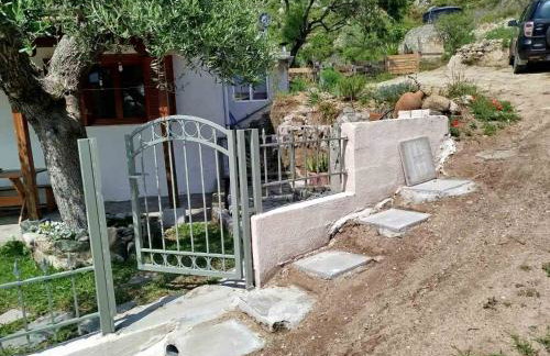 Bravita House - Foto 24