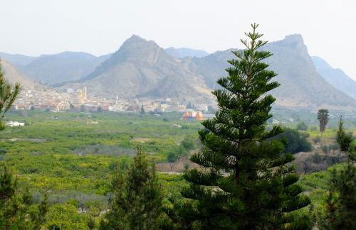 La Joya del Valle de Ricote - Foto 66