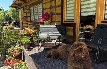 Apartament Kierunek Tatry - Foto 5