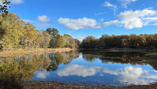 La casona de la alberca - Photo 5