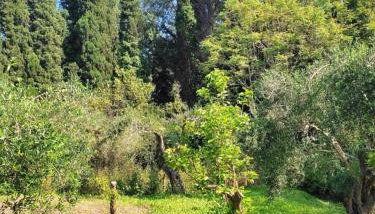 Villa Cottage Eleni - Foto 4