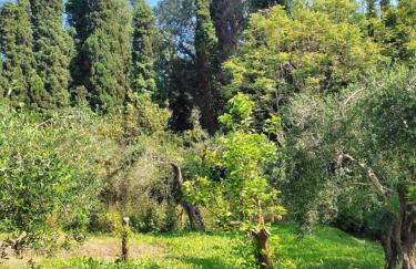 Villa Cottage Eleni - Foto 4