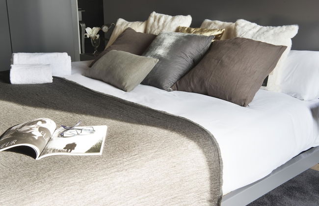 Godó Luxury Apartment Passeig de Gracia - Foto 4