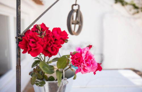 CASA AMARELA - Foto 21