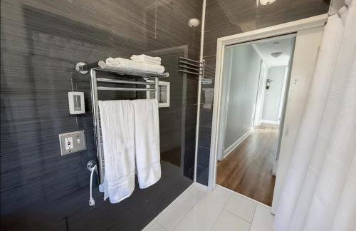 Spacious Home Downtown - Children's Hospital, Pets - Foto 43