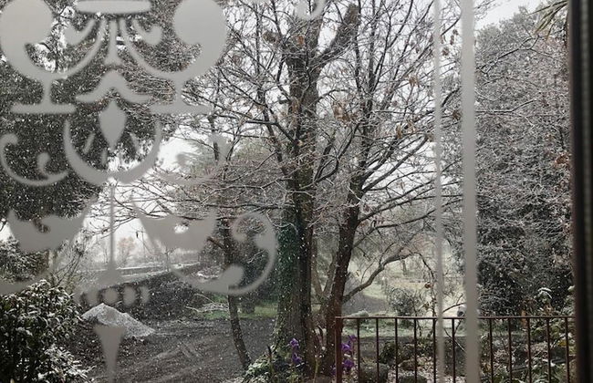 Sole di Sicilia - Foto 30