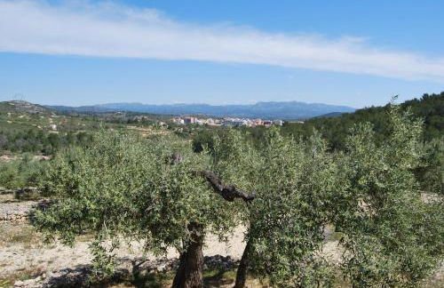 Apartamento Tramuntana - Foto 6