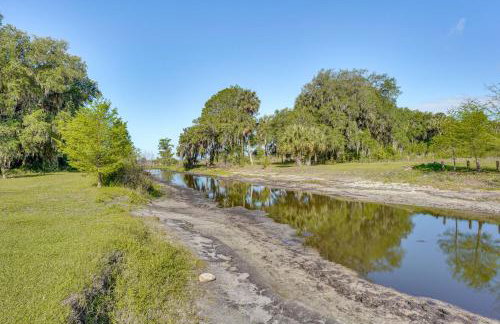 Steps to Orange Lake Pet-Friendly Getaway! - Photo 12