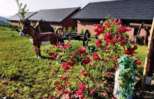 Agroturystyka Faron - Foto 25