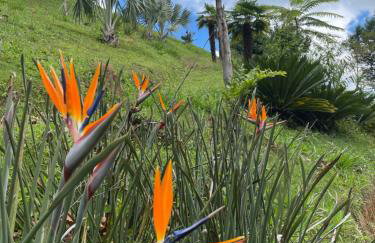 Rancho do Paioleiro - Suites - Foto 27