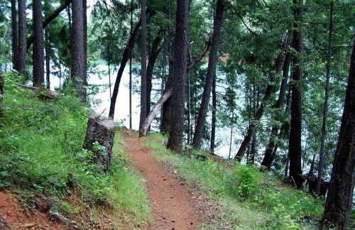 Stunning and Secluded Lakeside Getaway in the Grass Valley of California - Foto 16