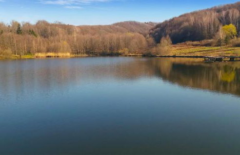 Awesome Home In Novo Zvecevo With Sauna - Foto 11