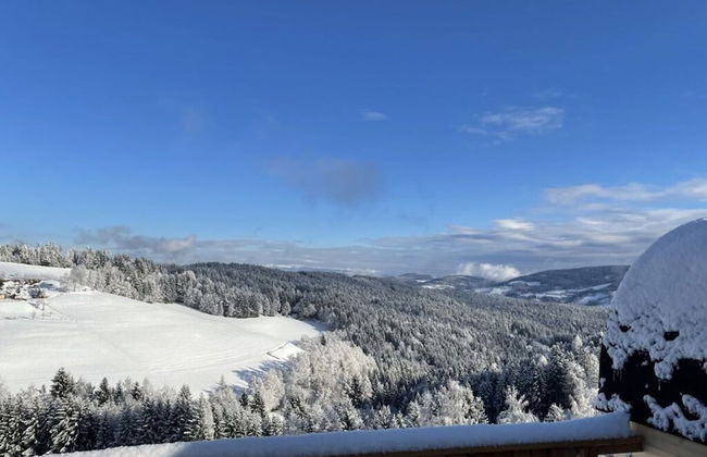 Andi's Berghutte Comfortable Holiday Residence - Foto 22