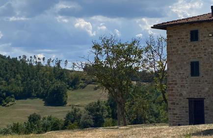 Agriturismo Il Casone - Photo 18