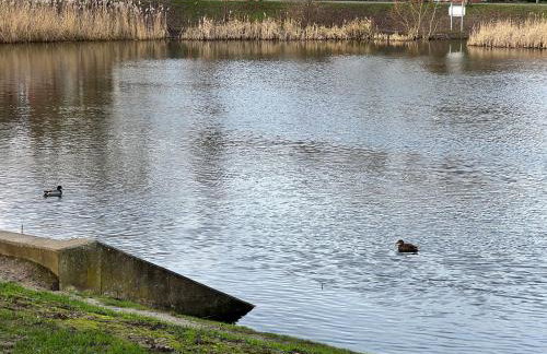 San Pedro Lodge Sittingbourne - Photo 10