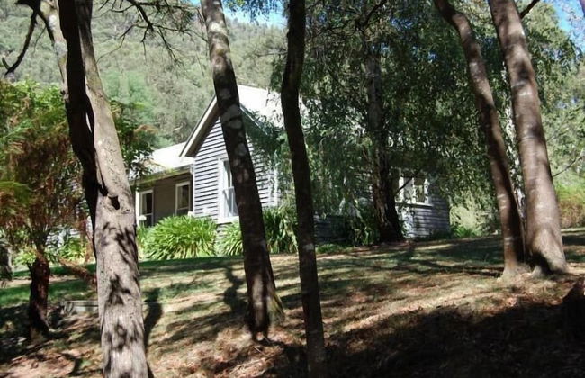 Allenvale - Photo 11