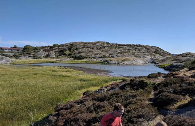 4 Star Holiday Home in Kyrkesund - Foto 11