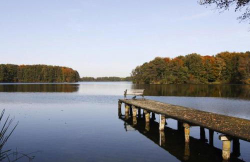 Ferienhaus Larsson mit Sauna am Dummer See, Dummer - Foto 46