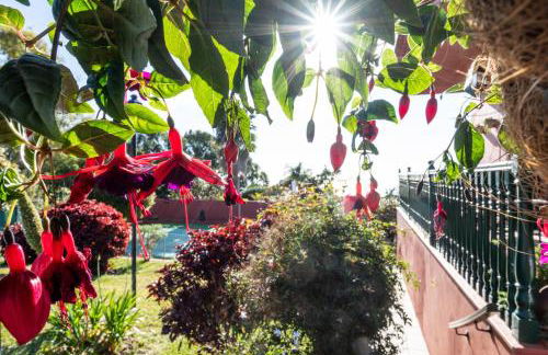 Home2Book Luxury Villa Luna de Tacoronte Pool - Foto 45