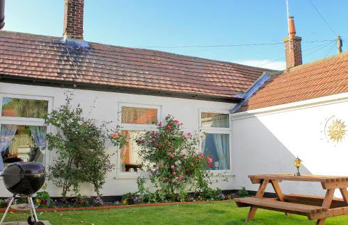 Little Tern - Foto 9