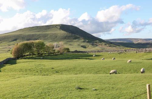 Chandler House - Foto 43