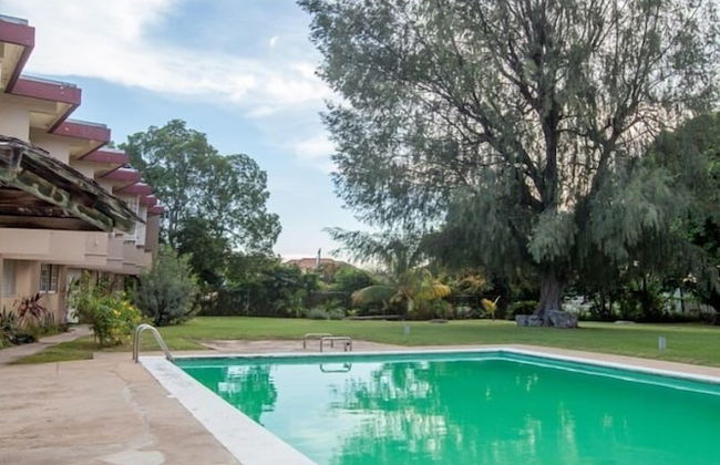 New Kingston Guest Apartments at Seymour - Foto 18