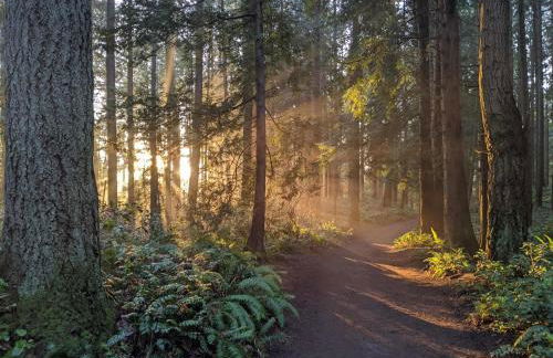 Modern Kirkland 4BR Family Oasis Kids Paradise - Photo 75