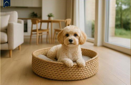 FeWo Meerzeit Bernsteinquartier - Foto 29