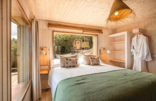 El Pino Centenario 3 - Foto 12