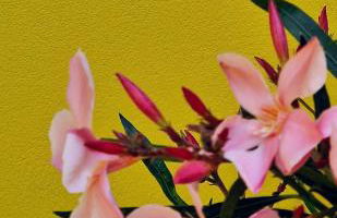 Dream & Fly Apartments - Foto 43