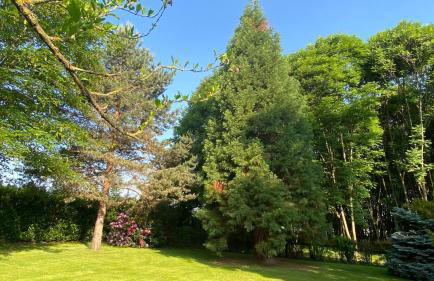 Villa Giulia - Marguareis - Foto 42